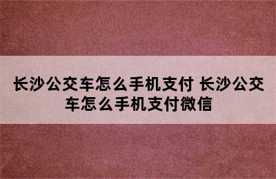 长沙公交车怎么手机支付 长沙公交车怎么手机支付微信